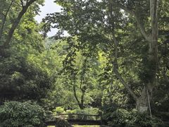 -杭州黄龙洞
