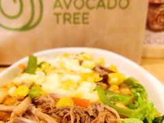 -油梨树AVOCADO TREE(嘉里中心店)