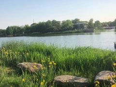 -尚贤河湿地
