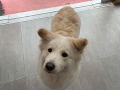 -佳雯宠物医院(四明中路分院)