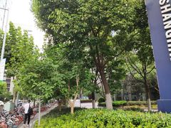 -上海跨国采购会展中心