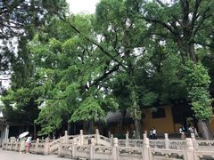 -西园戒幢律寺