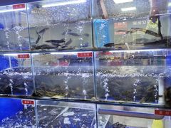 -石锅苗苗鱼(武汉首店)