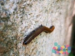 -碓臼峪自然风景区