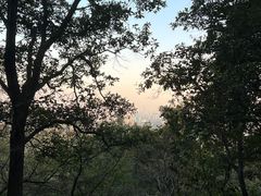 -南京老山国家森林公园