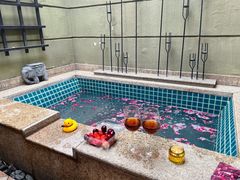 -春晖园度假酒店温泉