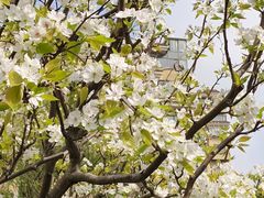 -同济大学(嘉定校区)