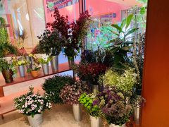 -二酉书店TOYOU BOOKS