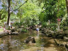 -成都市活水公园