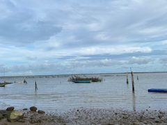 -东寨港红树林旅游区