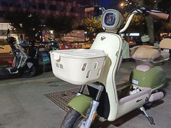 -绿源电动车(普陀专卖店)