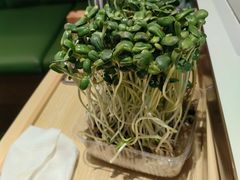 瓜子苗-烹然四季椰子鸡火锅(团结湖总店)