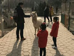 -五龙山野生动物王国