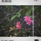 美食复苏日记｜被无数人团购的Ta，终于恢复下单啦！