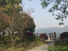 -鹅湖玫瑰文化园