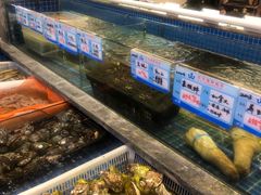 -骏莱海鲜鱼港(五角场店)