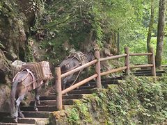 -西岭雪山大飞水景区