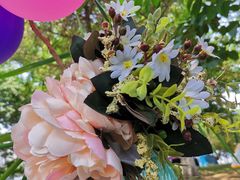 -长白岛森林公园