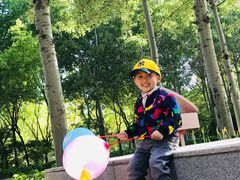 -朝阳公园游乐园