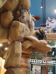 -卡通尼·Safari非洲探索乐园·生日会(金桥国际商业广场店)