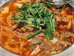 -古乐牛香鲜牛肉牛杂火锅(观前街店)
