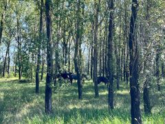 -野鸭湖国家湿地公园