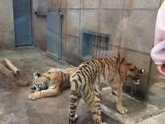 -西安秦岭野生动物园