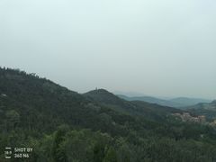 -龙口南山旅游景区