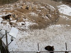 -青藏高原野生动物园