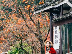 -丹山赤水风景名胜区