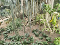 -南山植物园