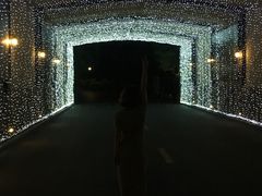 -浙江安吉JW万豪酒店·万豪中餐厅