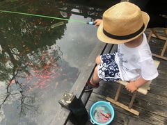 -白马涧龙池景区