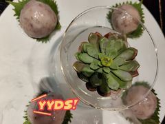 爆浆手打虾丸-捞王猪肚鸡火锅(财富中心店)