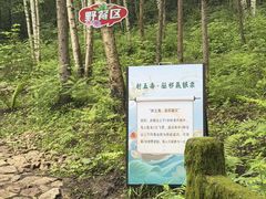 -帽儿山风景区