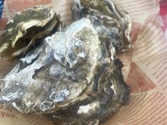 -狮龙啤酒烧烤屋(建二路店)