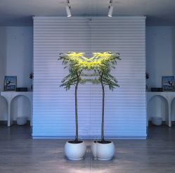 -闺蜜瑜伽·普拉提女性塑形馆