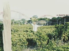 -喜洲吧·江畔老船厂·庭院餐厅(喜临院店)