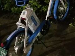 -海沧湾公园