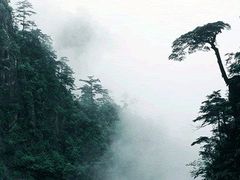 -大明山自然探索公园