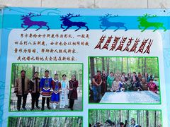 -北极村旅游风景区