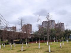 -龙江公园