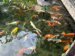 -鹅公村·国家非遗传承(荔湾店)