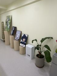 -斐尔国际皮肤管理中心