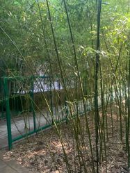 -北京英煌医疗美容