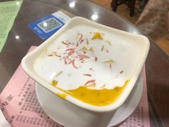 杨枝甘露-南信牛奶甜品专家