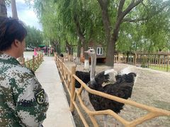 -白渔泡湿地公园