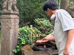 -天目湖山水园
