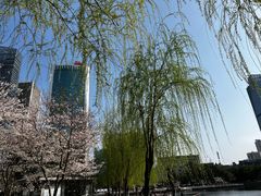 -西北湖绿化广场