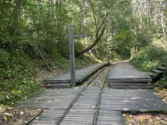 -五营红松林海景区